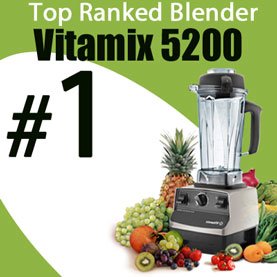 Vitamix Top Ranked Blender Button